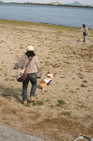 バス2013びわ湖.jpg